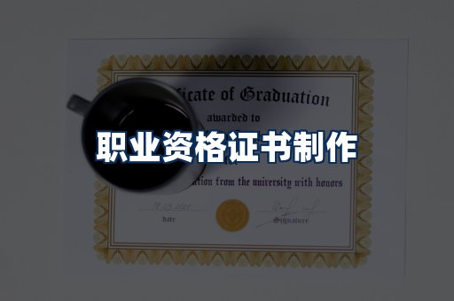 职业资格展示